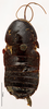CollectionObject 1587377; MNHN(SF IMPORT DUPLICATE) MNHN-EP-EP3460, a2c78430-c37d-4bc1-8dc8-3de68f45dc44: CC BY-NC-ND 4.0/MNHN - Depraetere Marion - 2014. Syntype, male, of parallela Bolívar, 1897. Specimen number: MNHN-EP-EP3460. http://coldb.mnhn.fr/catalognumber/mnhn/ep/ep3460. (CollectionObject).