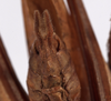 CollectionObject 1534509; 4c79a0fc-b7a5-4c3d-9485-69e46eebcb95: male subgenital plate (holotype). (CollectionObject).