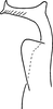 Stylus: !! display not done !! on Eratoneura turgida (Beamer, 1931): Stylus (holotype). (Observation).
