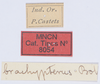 CollectionObject 1600057; 05460622-4a15-432b-b902-e88c96154b25: labels (syntype). (CollectionObject).