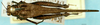 CollectionObject 1505180; 32f0ea04-dbcf-4fa7-8dbe-9d9dbcd7ff64: female, dorsal view. (CollectionObject).