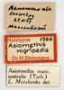 CollectionObject 1478052; 72ac2897-43b6-4724-9289-2e01dc1644e7: labels (holotype). (CollectionObject).