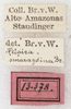 CollectionObject 1532218; NMW 13378, eb23ad00-48aa-4d24-93c5-c402b4b206e5: labels (syntype?). (CollectionObject).