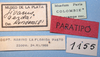 CollectionObject 1513713; MLP1155/1, 9bd3c535-4d96-423c-a97c-e09a702b3015: labels (paratype of Jivarus cerdai). (CollectionObject).