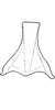Connective on Empoa (Empoides) punicea (Matsumura, 1932): Connective. (Observation).