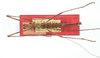 CollectionObject 1560670; 3231ea0c-df4e-4a75-9c50-fa7c6e035f29: copyright ZMB, Berlin. male (holotype). (CollectionObject).