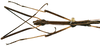 CollectionObject 1578587; RBINS IG: 32700, 737198b7-593d-40e7-b101-96be7e35e36d: copyright ISNB, Brussels. male: head & thorax, dorsal view (holotype). (CollectionObject).