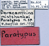 CollectionObject 1541628; 18d17197-772d-4496-8ba4-5294d4faf72e: labels (paratype of Deracanthina mistshenkoi). (CollectionObject).
