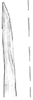 Pygofer ventral appendages, ventral view on Empoasca (Empoasca) armara Langlitz, 1964: Pygofer process, ventral view. (Observation).