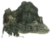 Habitus, lateral view on Cladonota (Lecythifera) meteorus Arnaud, 2002: (Observation).