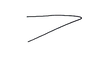 Leticiacris amazonica Amédégnato & Descamps, 1978: Fig. 65. female, end of tegmina. (Otu).