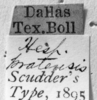 CollectionObject 1564559; a1db70fe-5355-4e4e-bf15-7c4c5de491ee: Image Carbonell, C.S. labels (paralectotype). (CollectionObject).