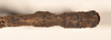 copyright OUMNH. female: end of abdomen, dorsal view (lectotype). Depicts CollectionObject 1560883; c5a6f456-47c6-42b6-bb28-8bcbfecdfed1, a CollectionObject.