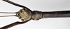 CollectionObject 1590030; e379d0f6-820e-45d2-80c6-29258decc65f: copyright MNHN, Paris. male: head & part of thorax, lateral view (paratype). (CollectionObject).