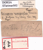 CollectionObject 1530841; a803d2c3-8eb6-45a2-968f-46bfca423fc0: labels (syntype). (CollectionObject).