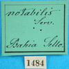 CollectionObject 1501882; 8ea1a4ec-5ecd-4116-ba6b-c1aebebce6d7: labels. (CollectionObject).