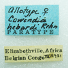 CollectionObject 1568953; 0eeee042-cd8c-4b75-9192-7c3e8f58a7f9: female, labels (allotype of Cawendia hebardi). (CollectionObject).