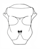 Shelfordites aberrans Karny, 1910: Fig. 3f. male, meso- and metasternum. (Otu).