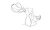 Dichroplus paraelongatus Carbonell, 1968: Fig. 73. epiphallus, ectophallus and aedeagus apex, lateral view. (Otu).