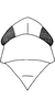 Head on Aguriahana adusta Chiang, Hsu & Knight, 1989: Head, pro-, and mesothorax. (Observation).