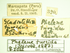 CollectionObject 1597053; c25db126-3dc4-4b7f-81d1-f1fe256db9e6: female (no type), labels. (CollectionObject).
