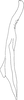 Stylus: Stylus. (Observation).