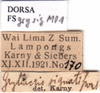 CollectionObject 1505458; 265a54be-add9-4d51-b96d-a0109759bc0c: labels. (CollectionObject).