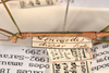 CollectionObject 1559398; 0c1e583d-db6b-441f-b256-6093520e1db6: copyright OUMNH. male: head & thorax, lateral view of synonym Lonchodes dispar (holotype). (CollectionObject).