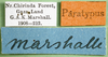 CollectionObject 1501810; f5dfd11c-5e33-47e6-b6ac-32564bc3e25b: labels (paratype of Chirindites marshalli). (CollectionObject).
