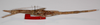 CollectionObject 1576634; 212bea82-7750-41b2-93b4-61e98d27c9c5: copyright FSCA. female (paratype). (CollectionObject).