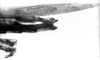 CollectionObject 1521499; 6d260bb7-999e-445c-8b30-066d98328190: Image Carbonell, C.S. female abdomen end, lateral view (syntype). (CollectionObject).