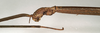 CollectionObject 1557865; NMW 780, fe89e5a8-ccc0-4a8b-923e-40f33bfad8bd: copyright NMW, Vienna. female: head, lateral view (holotype). (CollectionObject).