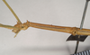 CollectionObject 1557609; NHMUK(SF IMPORT DUPLICATE) 845243, 394b3b61-6a8d-41f5-a1aa-1f76924523c8: copyright Natural History Museum, London. male: head and thorax, lateral view of Bacteria spinosa (holotype). (CollectionObject).