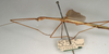 CollectionObject 1561957; b9655f81-9f02-44a3-8f36-c885c44e980e, NMW 1104: copyright NMW, Vienna. male: head and thorax, lateral view of synonym Sipyloidea filiformis (lectotype). (CollectionObject).