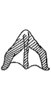 Connective on Ajika nana Dworakowska, 1979: Connective (A. nana Dwor.). (Observation).