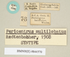 CollectionObject 1562298; f9ec7ba9-e176-4937-8ad0-aed1d8ded5f4, NHMUK(SF IMPORT DUPLICATE) 844570: copyright Natural History Museum, London. male, data labels of synonym Pericentrus multilobatus (paralectotype). (CollectionObject).