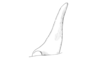 Ronderosia forcipata (Rehn, 1918): Fig. 5L. male cercus, lateral view. (Otu).