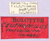 CollectionObject 1499239; f8f9e456-d86d-46a8-a866-45e0e26c8fe6: labels (holotype). (CollectionObject).