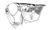 Chlorus vittatus Bruner, 1906: Fig. 4B. male head and pronotum, lateral view. (Otu).