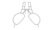 Trichopaon villosus Descamps & Amédégnato, 1972: Fig. 166. male head, dorsal view. (Otu).