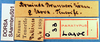CollectionObject 1530883; c0f9cbfa-8b98-4704-87ac-162b90c22caf: labels (syntype). (CollectionObject).