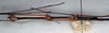 CollectionObject 1561665; NMW 326, d5f8d498-ec74-4bb3-8f8a-aa7d647c7b32: copyright NMW, Vienna. male: head and thorax, lateral view (syntype). (CollectionObject).