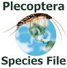 Plecoptera Species File