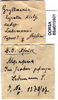 CollectionObject 1500132; 3bec05ec-6b66-4281-babb-364a4ced1897, DORSA BSal015S01: labels (holotype). (CollectionObject).