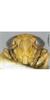 Head: face. (Observation).