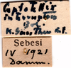 CollectionObject 1505084; 36483050-6b12-459c-9f34-785b5c920c4d: labels. (CollectionObject).