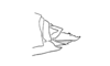 Exerythracris volcanica Rowell, 1995: Fig. 3K. female, tip of abdomen, ovipositor valves shut, lateral view. (Otu).