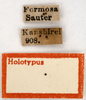 CollectionObject 1538219; 5884eb50-cf75-4c3d-82f3-91c474465706: labels (holotype). (CollectionObject).