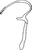 Aedeagus, lateral view on Brazosa larocai Zanol, 1989: Aedeagus, lateral view. (Observation).