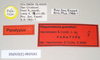 CollectionObject 1563681; 7e90f1ec-6ce5-46ac-907f-e9c288413e4d: copyright Natural History Museum, London. female, data labels (paratype). (CollectionObject).;CollectionObject 1563682; 79e6268e-5a54-455c-a2cd-6d34daaf9310: copyright Natural History Museum, London. female, data labels (paratype). (CollectionObject).